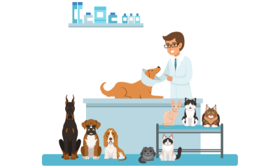 animal_assisted_therapy_basics