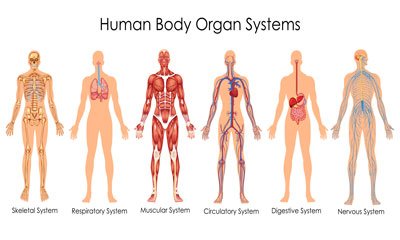 human_biology_diploma
