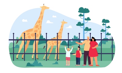 wildlife_rehabilitation_intro